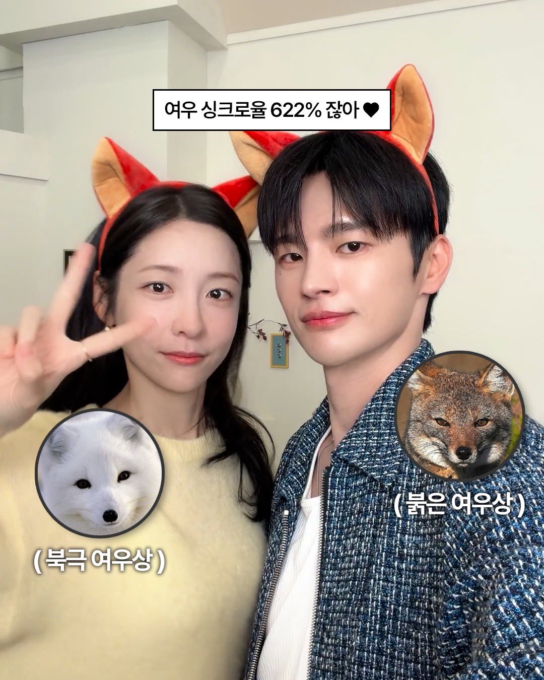 [잡담] 박지현 서인국 ㄹㅇ 북극여우 사막여우네 ㅋㅋㅋㅋㅋㅋ | 인스티즈