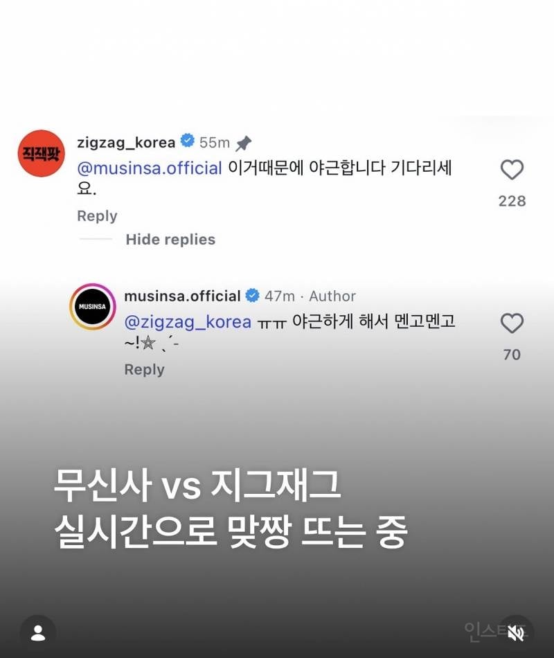 무신사vs지그재그 실시간 맞짱뜨는중 | 인스티즈