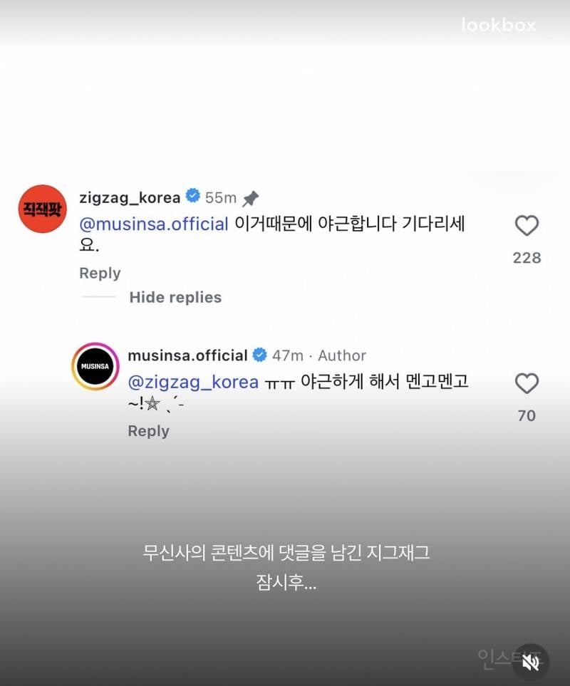무신사vs지그재그 실시간 맞짱뜨는중 | 인스티즈