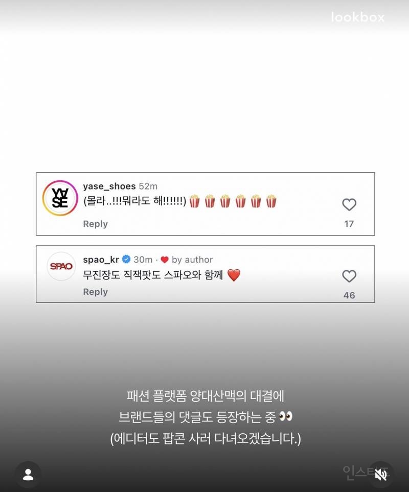 무신사vs지그재그 실시간 맞짱뜨는중 | 인스티즈
