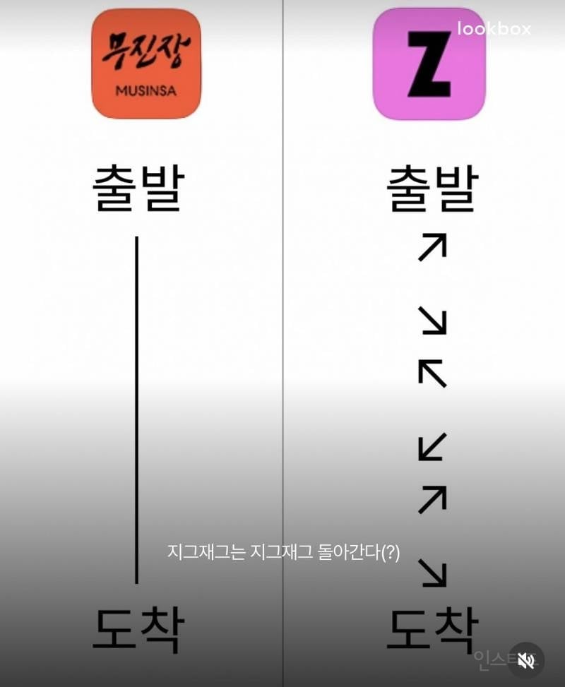 무신사vs지그재그 실시간 맞짱뜨는중 | 인스티즈