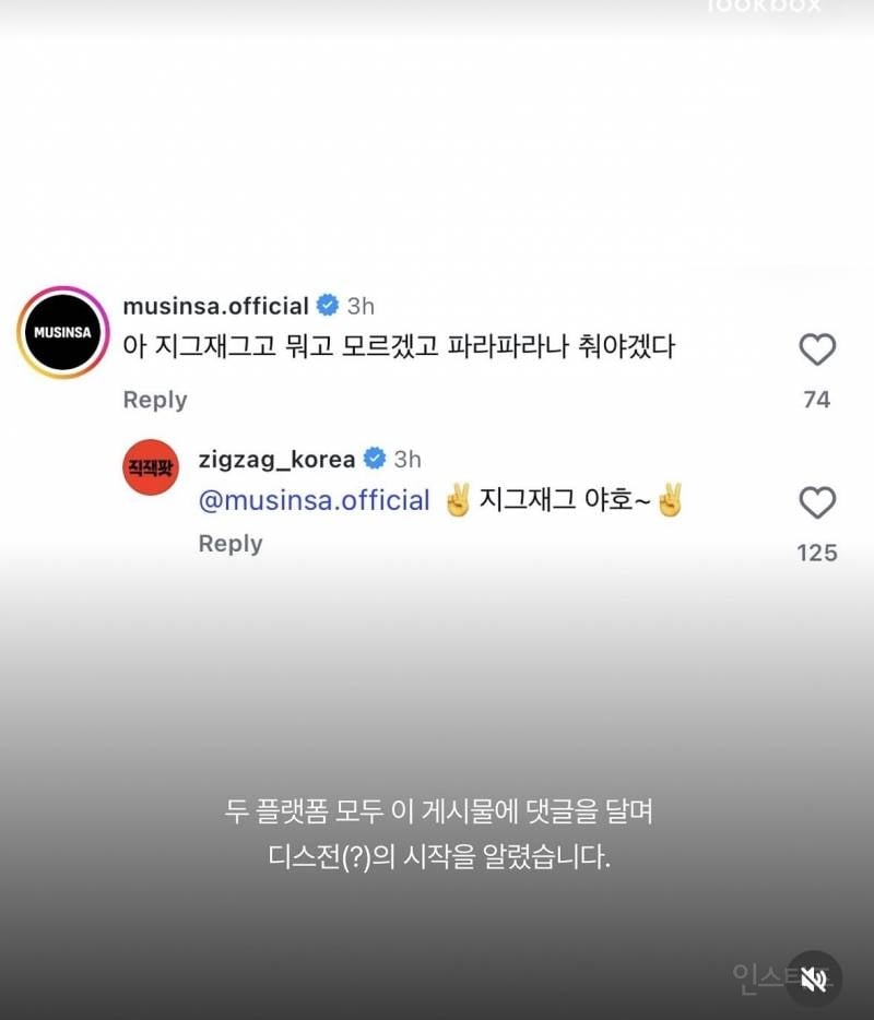 무신사vs지그재그 실시간 맞짱뜨는중 | 인스티즈