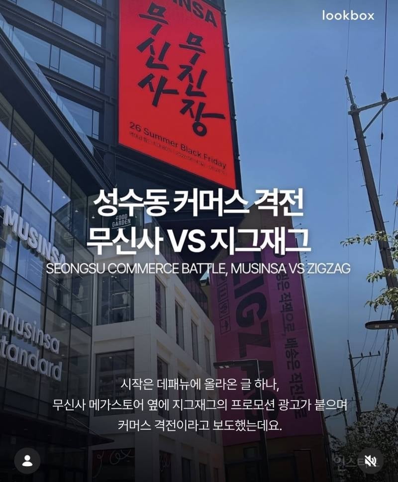 무신사vs지그재그 실시간 맞짱뜨는중 | 인스티즈
