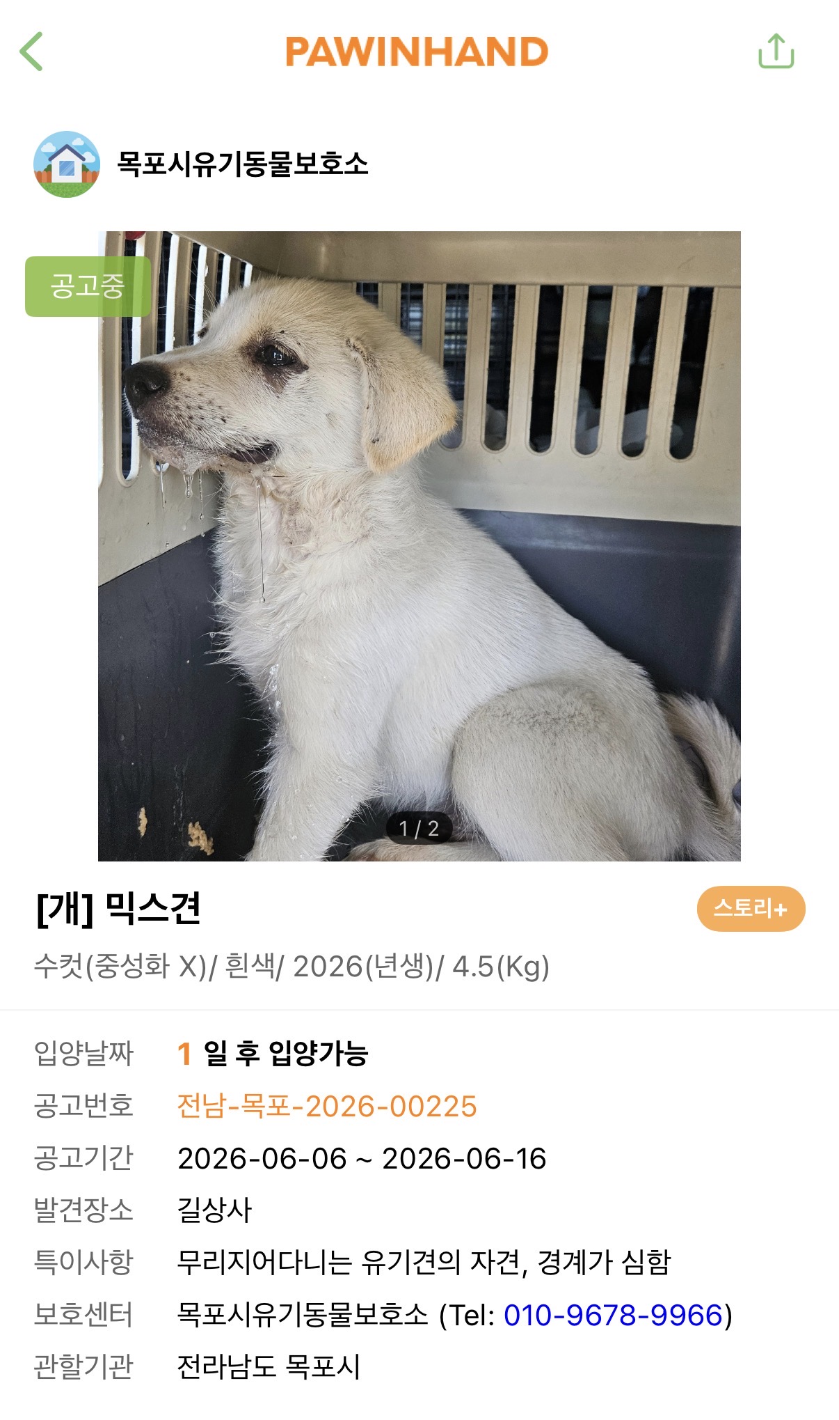 [잡담] 보호소에서 울고있는 강아지 어제부터 입양가는 날인데 | 인스티즈
