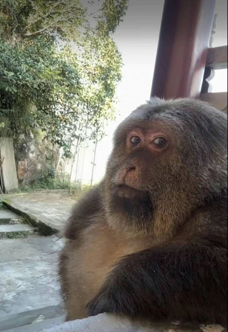 [잡담] 이제 퇴근하면 안되나 | 인스티즈