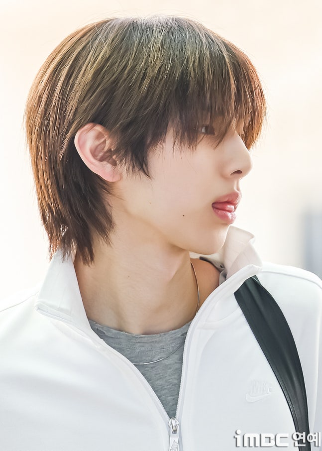 [잡담] 코르티스 출국 기사사진 | 인스티즈