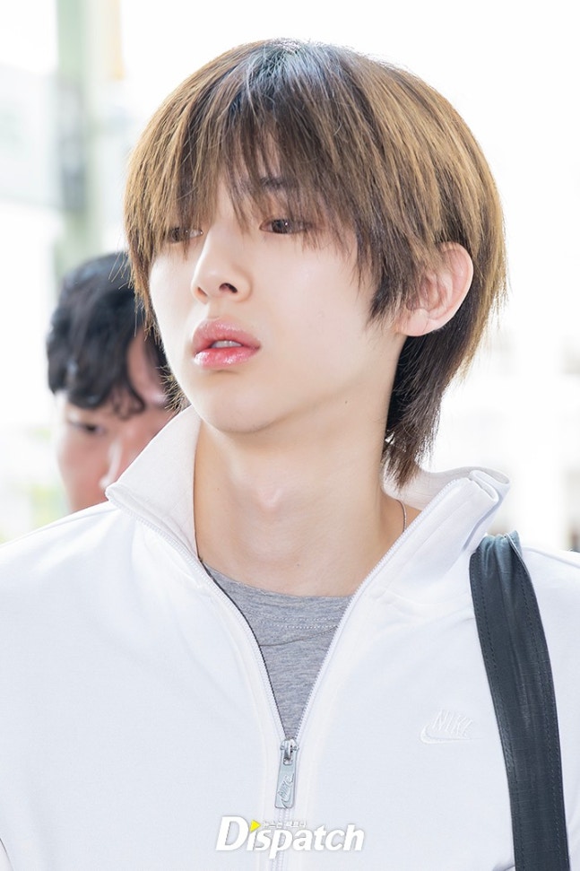 [잡담] 코르티스 출국 기사사진 | 인스티즈