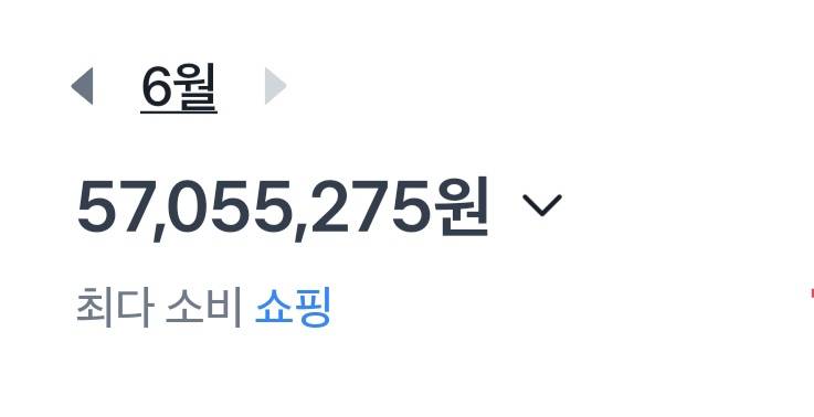 [잡담] 와 나 6월 지출 볼 사람 | 인스티즈