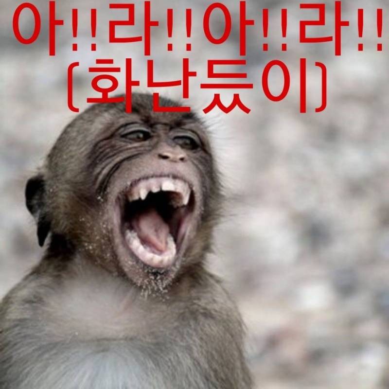23일 고척 | 인스티즈