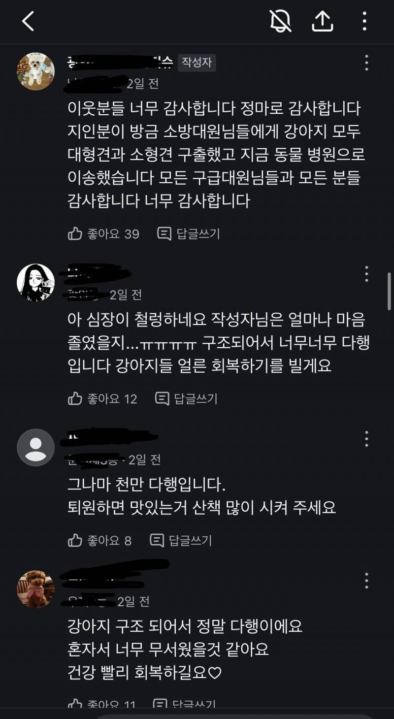 [잡담] 이거 진짜 당근 커뮤니티의 순기능이다… | 인스티즈
