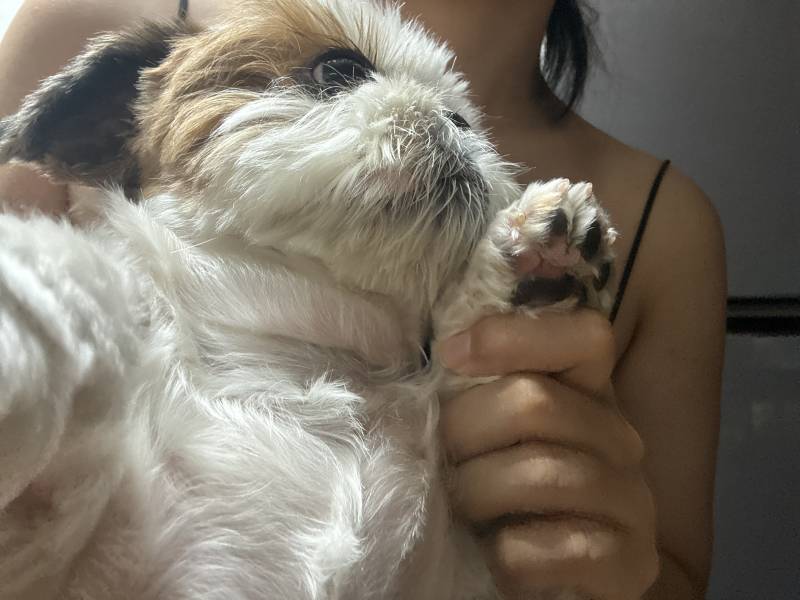 [잡담] 나 목살 심해..? | 인스티즈