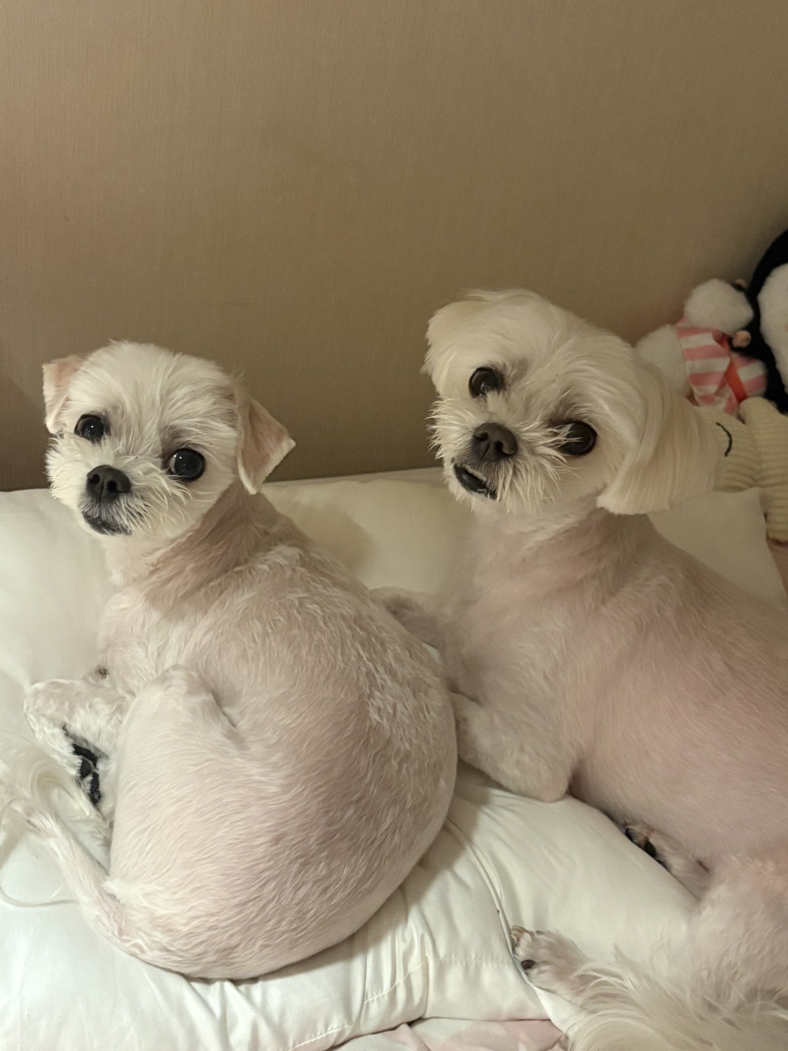 [잡담] 둘이 레전드로 닮았네... | 인스티즈