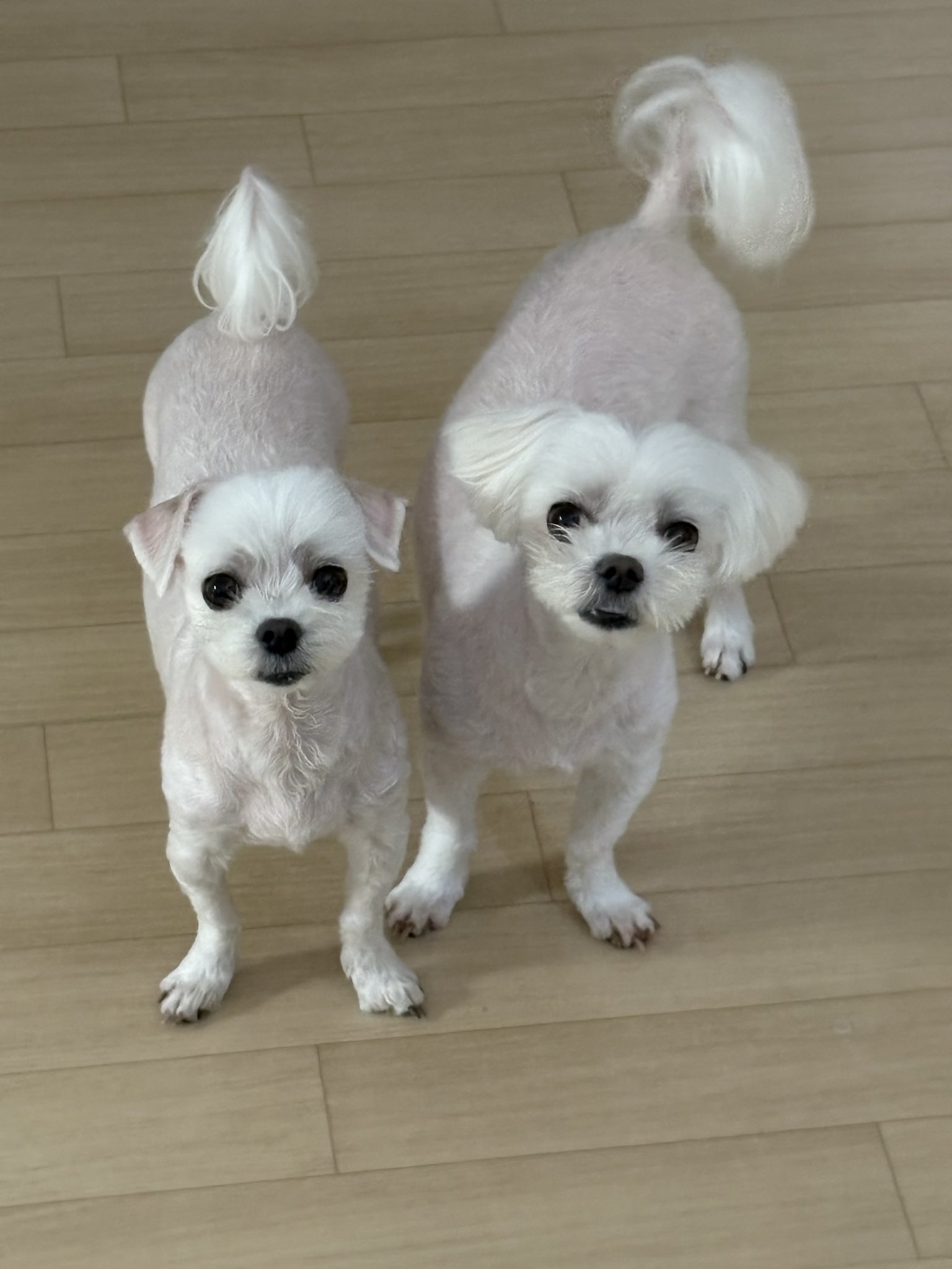 [잡담] 둘이 레전드로 닮았네... | 인스티즈