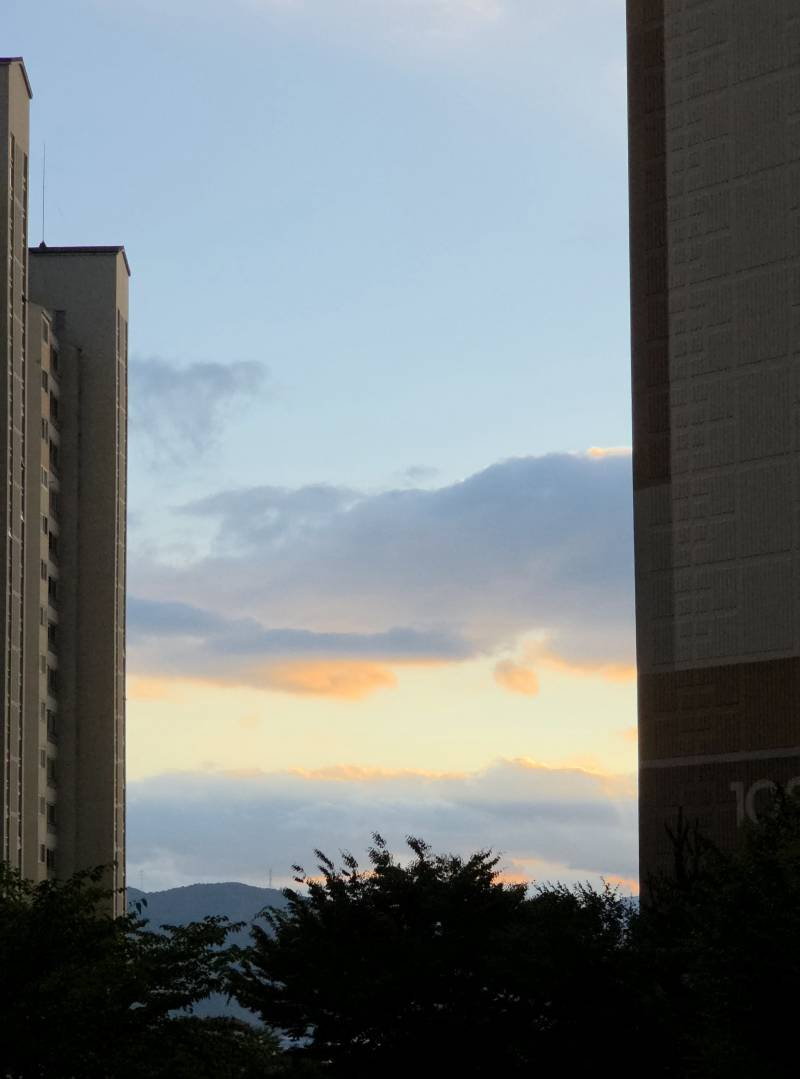 [잡담] 하늘 예뿌다 | 인스티즈