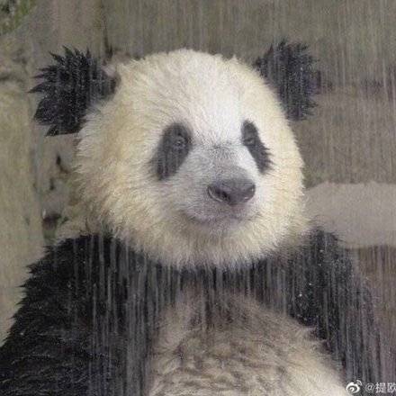 [잡담] 와 밖에 짱습해.. 뭔 비키니시티따로가 없나고 | 인스티즈
