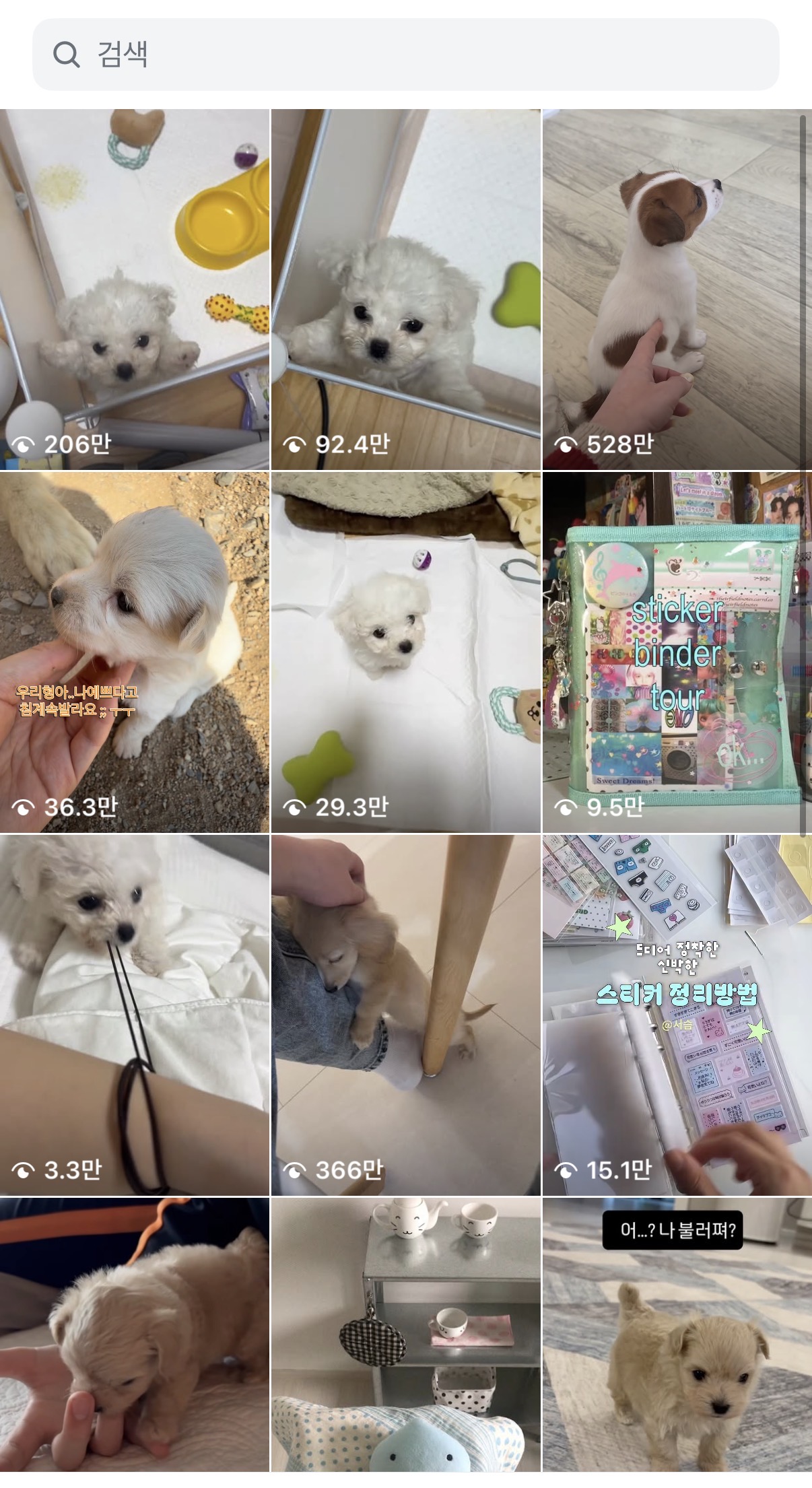 [잡담] 내 인스타 돋보기 레전드 | 인스티즈