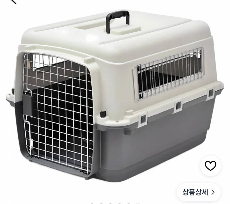 [잡담] 강아지 데리고 ktx타려는데 또 민원 걸릴까봐 무서워 트라우마 생긴듯 | 인스티즈