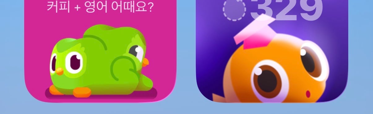 [잡담] 듀오링고 위젯 볼때마다 뽱당함 | 인스티즈