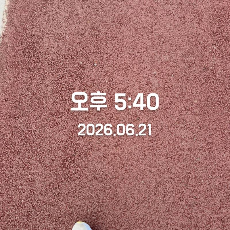 [잡담] 하기 싫어죽겠음, 무기력을 극복하고 | 인스티즈
