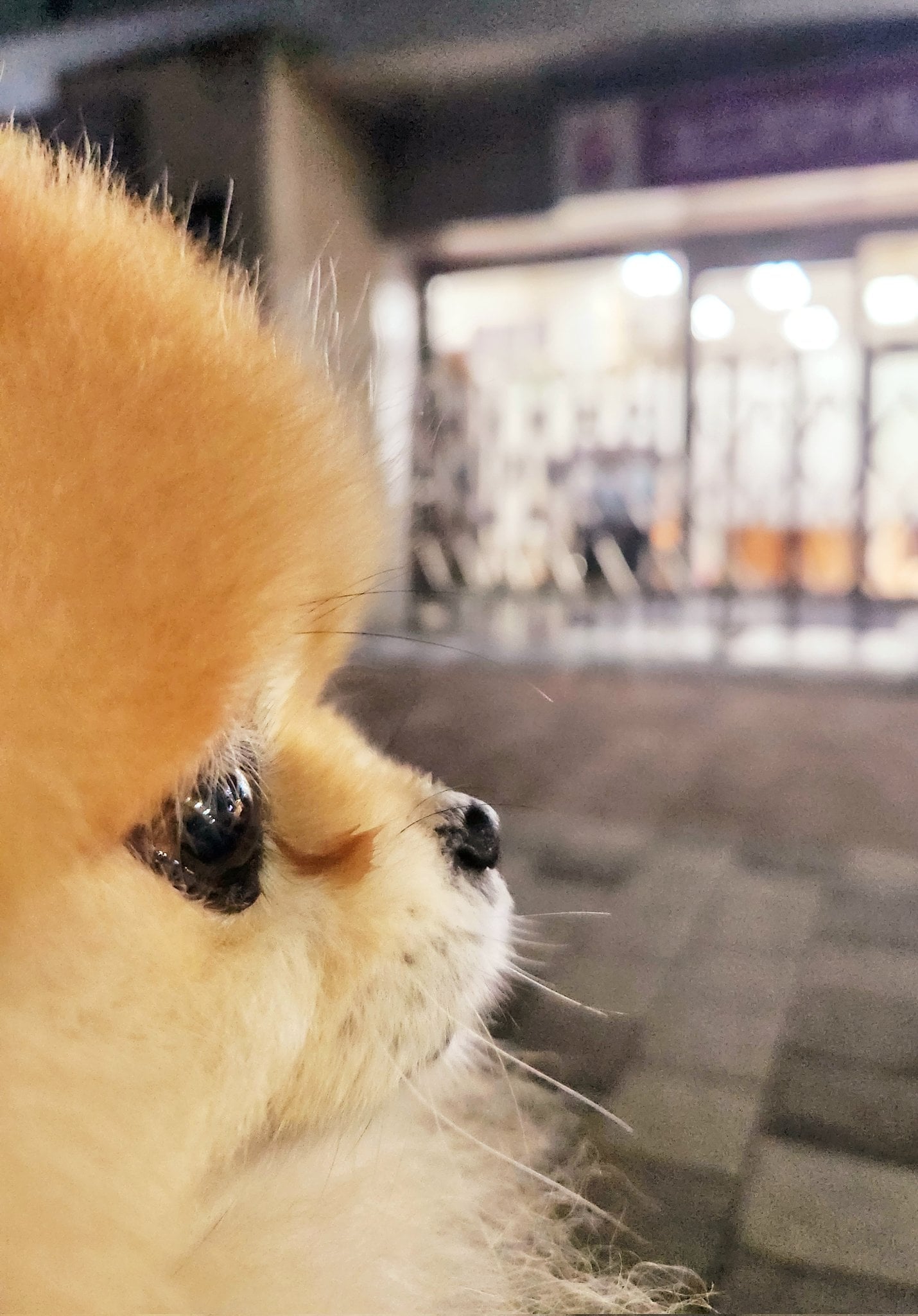 [잡담] 옆태 진짜 지린다.... | 인스티즈