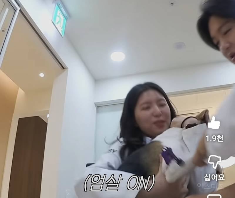강아지 건강검진이 빡세다는 이유..jpg | 인스티즈