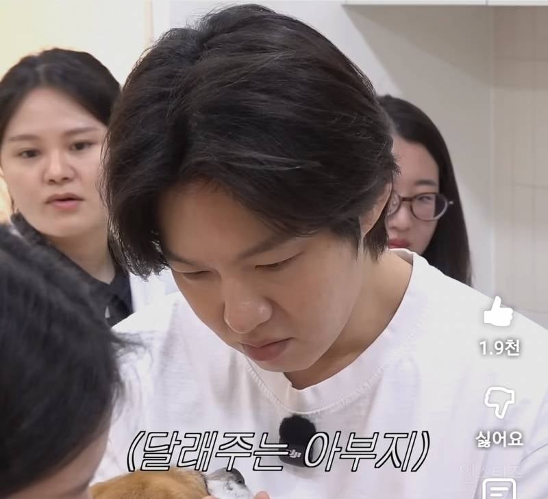 강아지 건강검진이 빡세다는 이유..jpg | 인스티즈