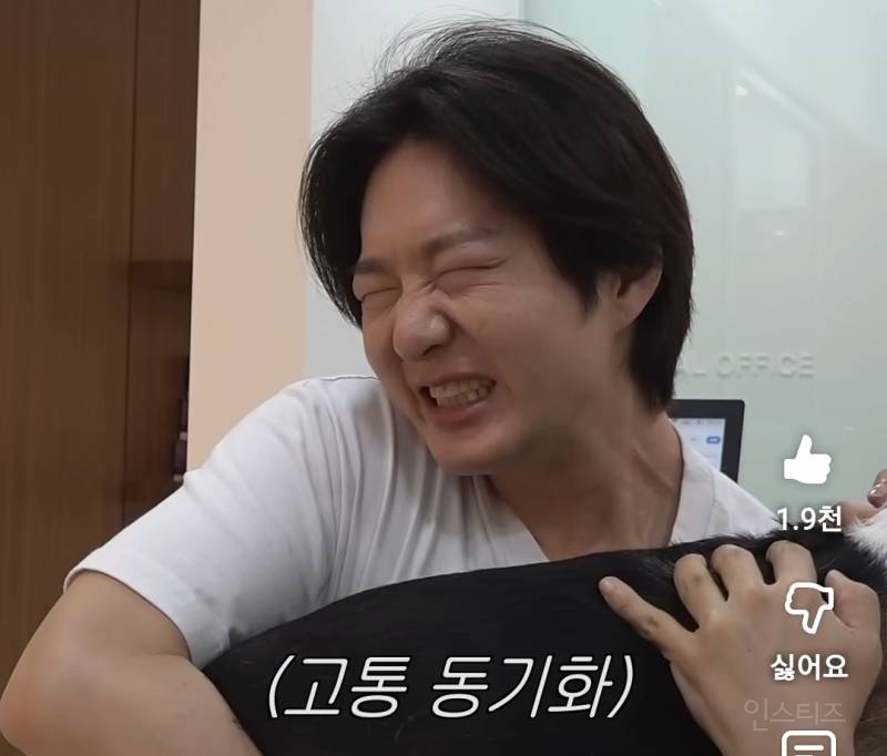 강아지 건강검진이 빡세다는 이유..jpg | 인스티즈