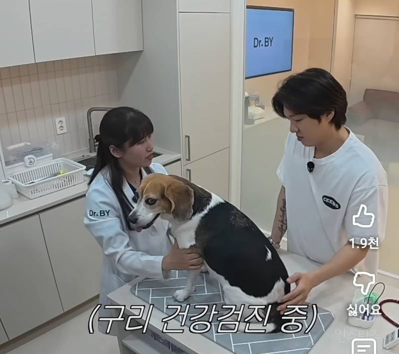 강아지 건강검진이 빡세다는 이유..jpg | 인스티즈