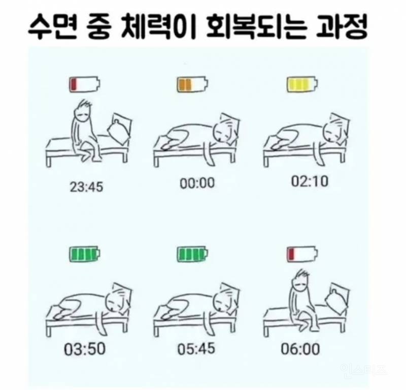 수면 중 체력이 회복되는 과정 | 인스티즈