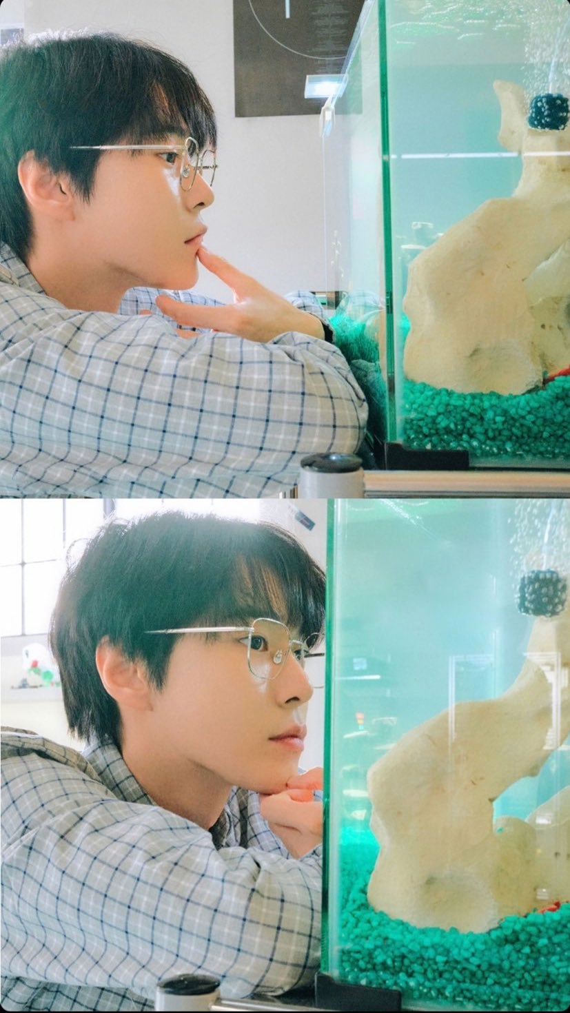 [잡담] 도영이 퍼컬이 금붕어?수조인가 | 인스티즈