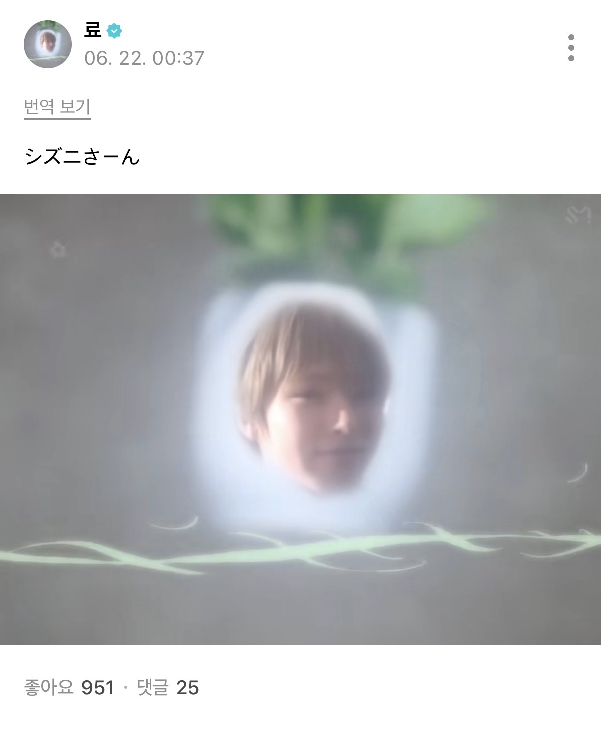 [잡담] 아 료 위버스 프사 실화임? | 인스티즈
