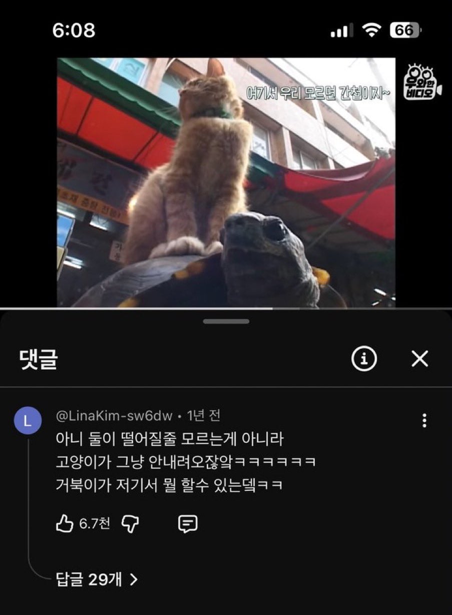 [잡담] 이거 투톤즈 | 인스티즈
