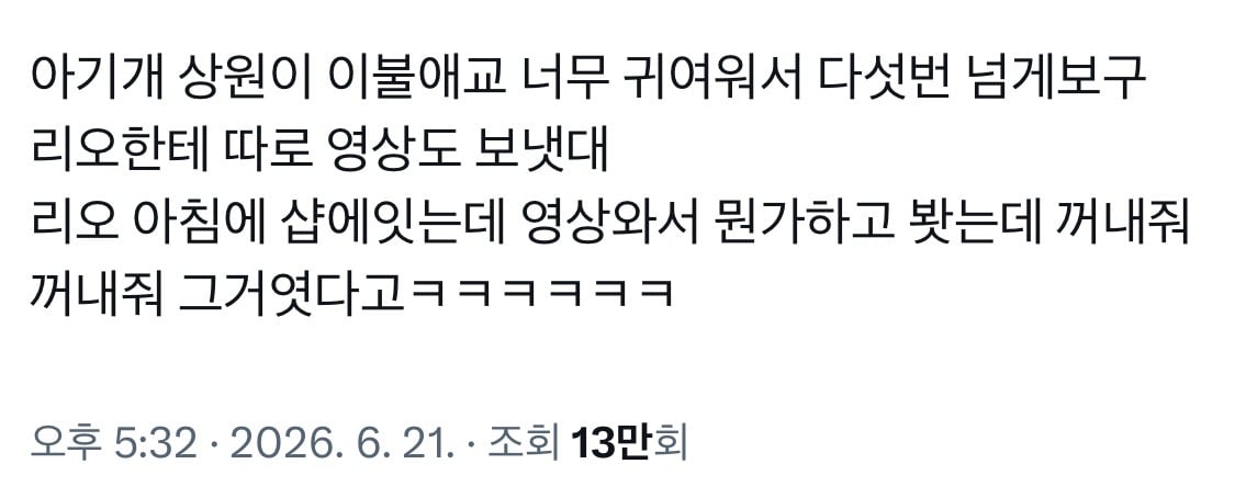 [잡담] 알디원 이상원 정상현 조합 요즘 붐이라 좋아 | 인스티즈