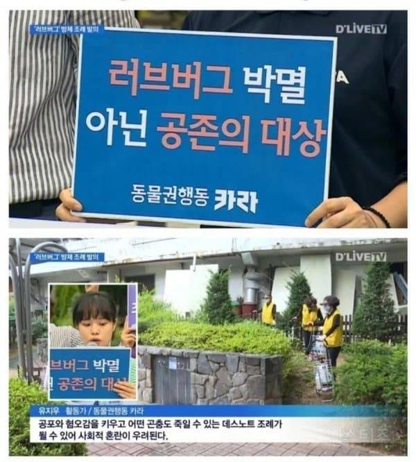 특이점이 왔다는 동물 보호단체 | 인스티즈