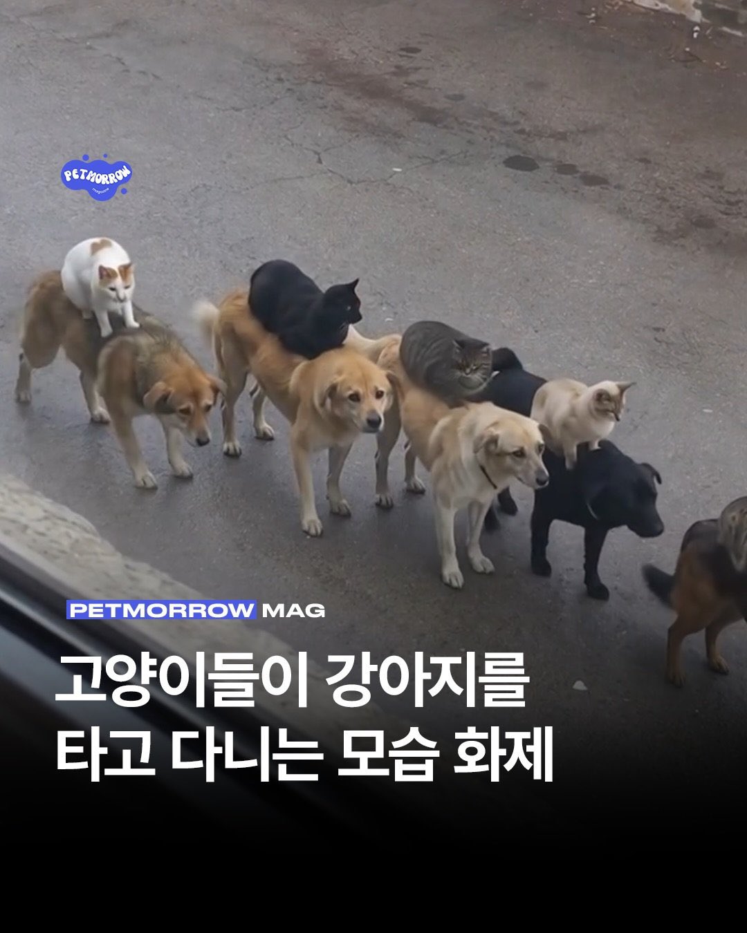 [잡담] 엔시티드림 이거네 완전 | 인스티즈