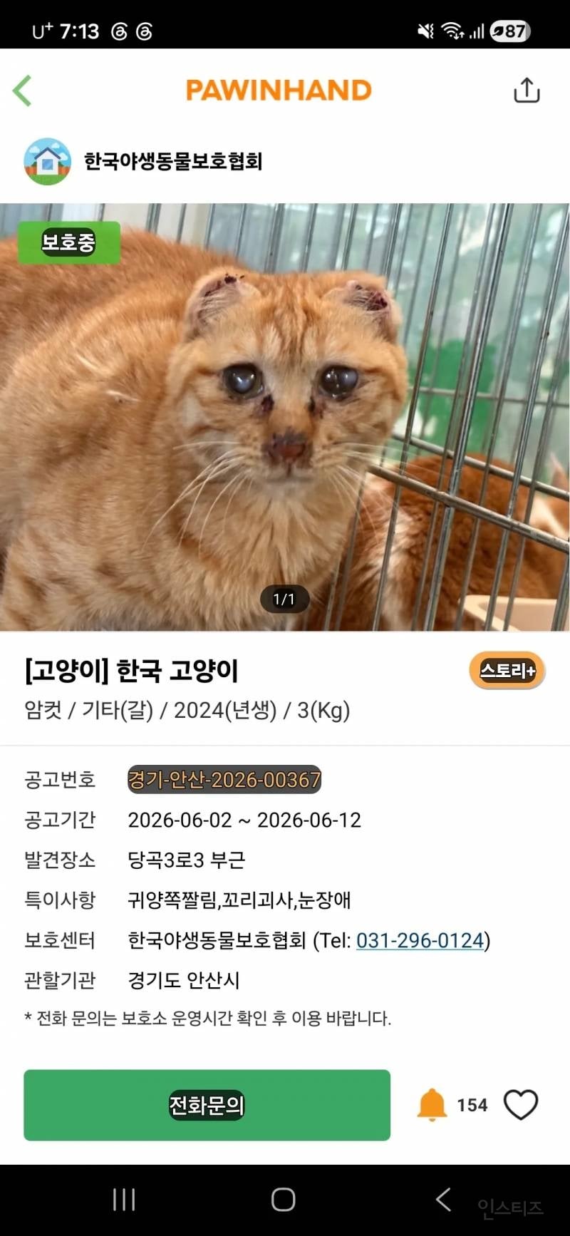 포인핸드에 올라온 귀가 짤린 고양이 | 인스티즈