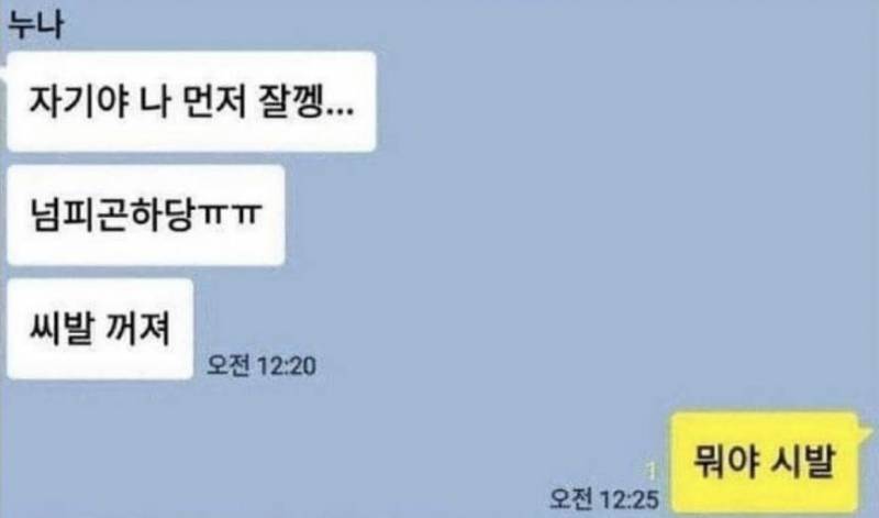 [잡담] 누나랑 남동생 카톡 개웃기다 | 인스티즈