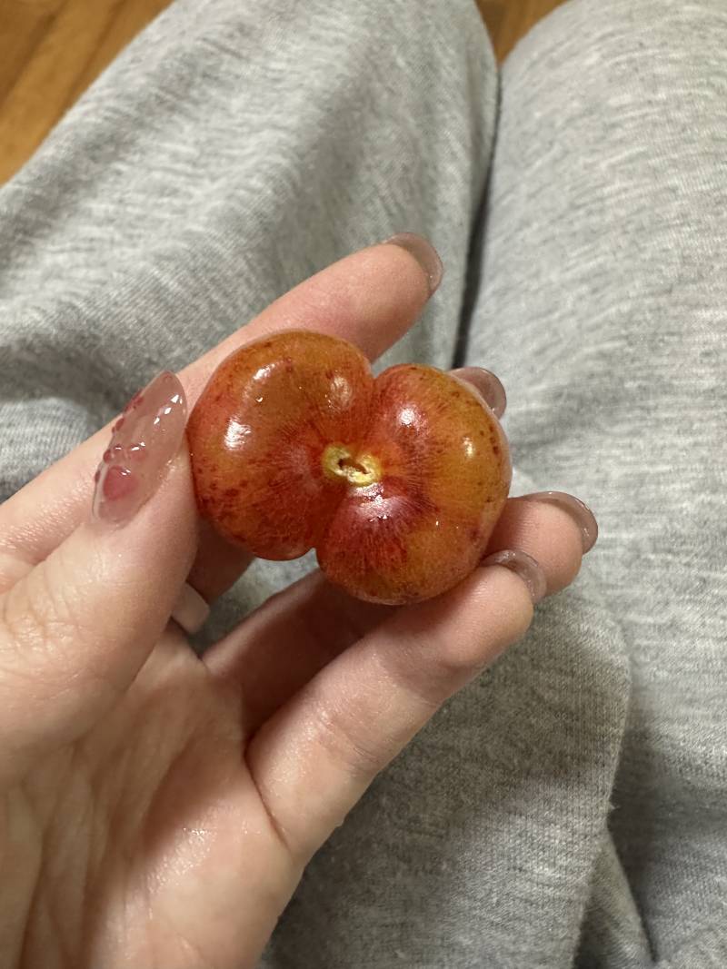 [잡담] 체리먹는데 너무 불미스럽게 생겻어 | 인스티즈