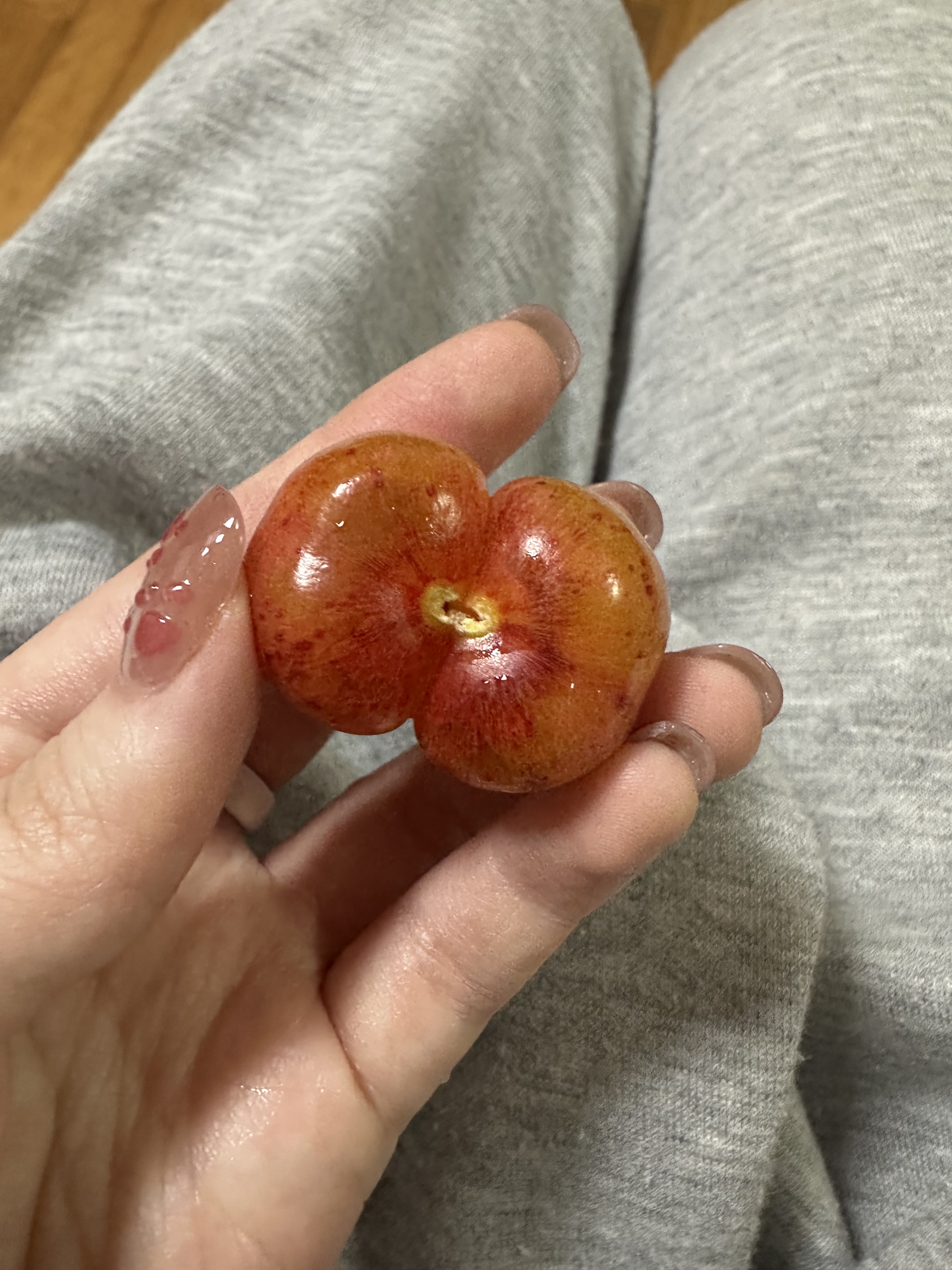 [잡담] 체리먹는데 너무 불미스럽게 생겻어 | 인스티즈
