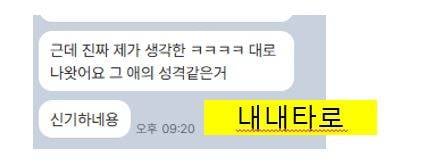 ❤️ 한 번 보면 재방문 이어지는 내내 타로 ❤️ 단골 맛집! | 인스티즈
