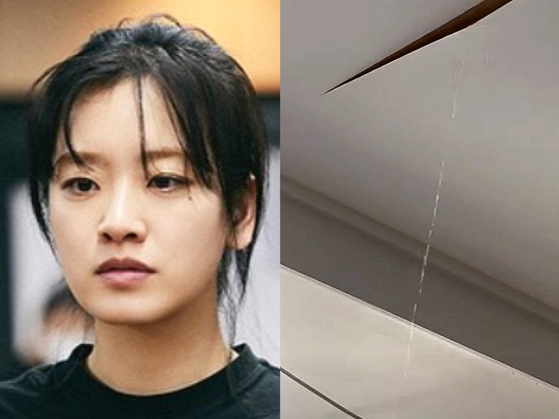 [정보/소식] 이주영 "천장서 물 줄줄…곧 수영도 가능할 듯"… 한달째 누수 피해 소송전 예고 | 인스티즈