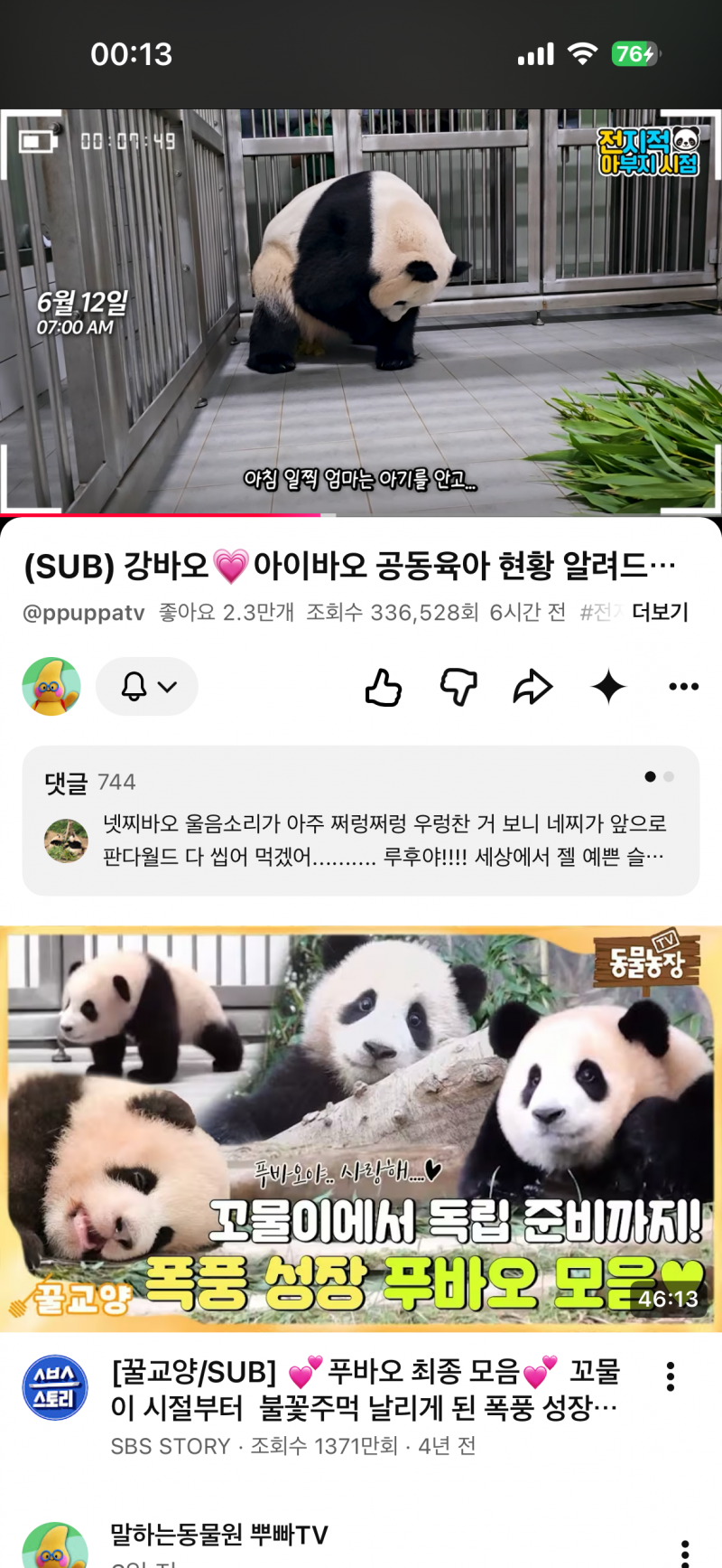 [잡담] 유튭 보는데 푸바오가 진짜 예쁘게 생기긴했다 | 인스티즈