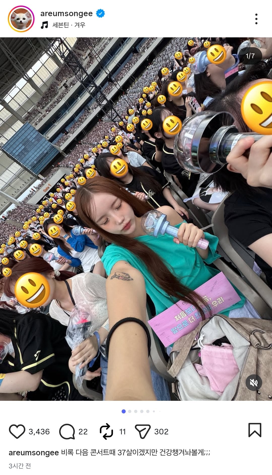 [잡담] 한아름송이 세븐틴 콘서트 초대석 아니고 | 인스티즈