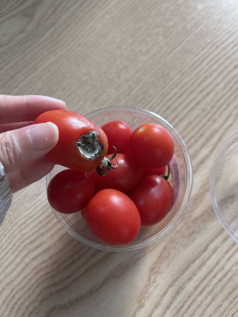 [잡담] 편의점 알바하는 사람?? | 인스티즈