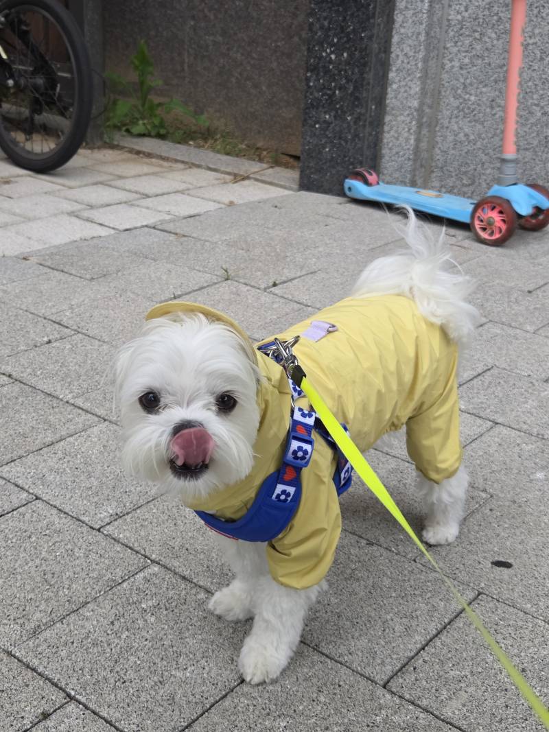 [잡담] 얘들아 맛점해 | 인스티즈
