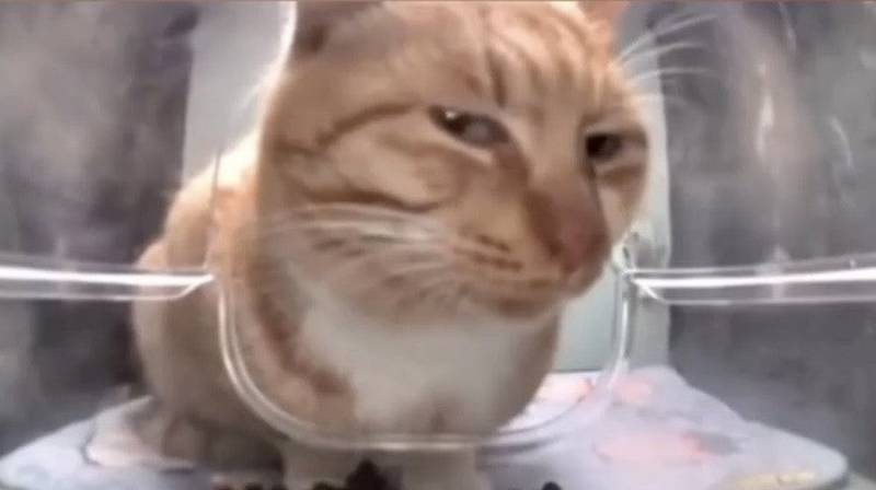 [잡담] 가격 잘못 안내했다는데 | 인스티즈