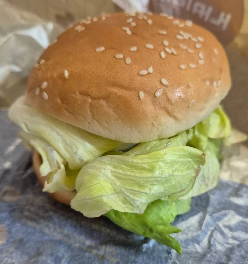 [잡담] 오늘 저녁은 데리버거🍔 | 인스티즈