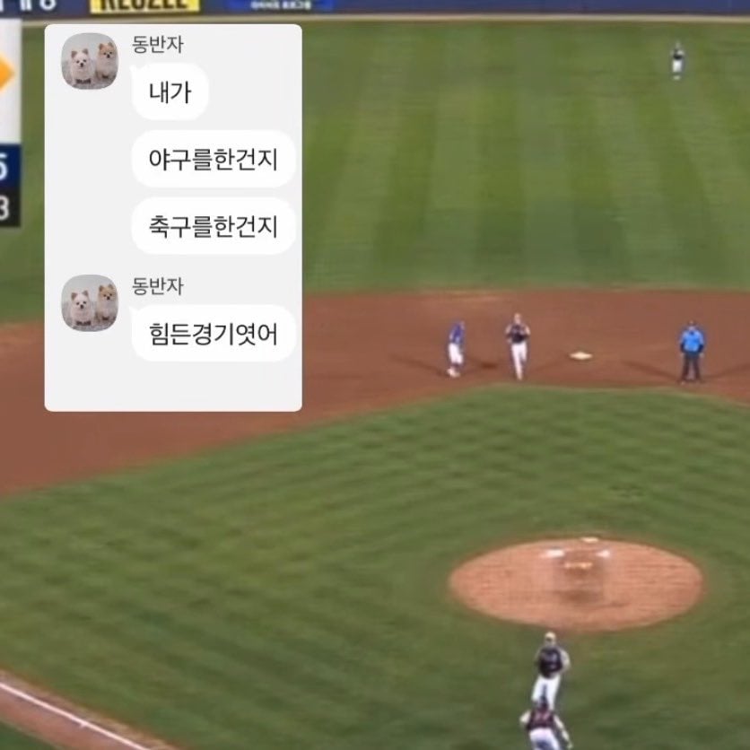[잡담] 장현식 대국민 사과 그리고 야구를 한건지 축구를 한건지 힘들었다는 참치 | 인스티즈