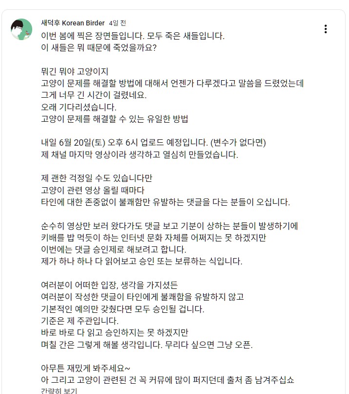 [잡담] "새덕후" 채널 고양이 영상에 달린 충격적인 댓글 (잔인함 주의) | 인스티즈