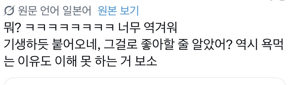 [마플] 일본인들 트윗 댕웃기다 | 인스티즈